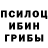 Псилоцибиновые грибы Psilocybe Scarlet Ragneel