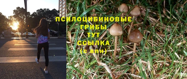 гашишное масло Михайлов