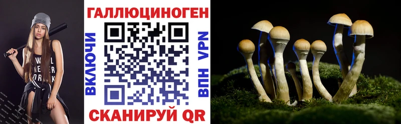 Псилоцибиновые грибы Psilocybine cubensis  Купить  Шацк 