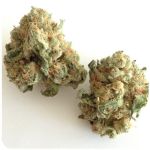 Шишки "White Widow"  (Белая вдова)  Гидропоника -  Бошка VHQ в Шацке